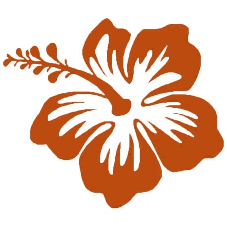 Hibiscus - logo EasySkate